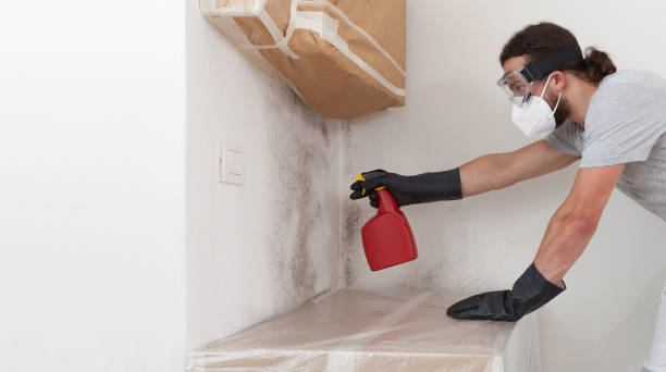 Professional Basement Mold Remediation technician working in Brookeville, MD