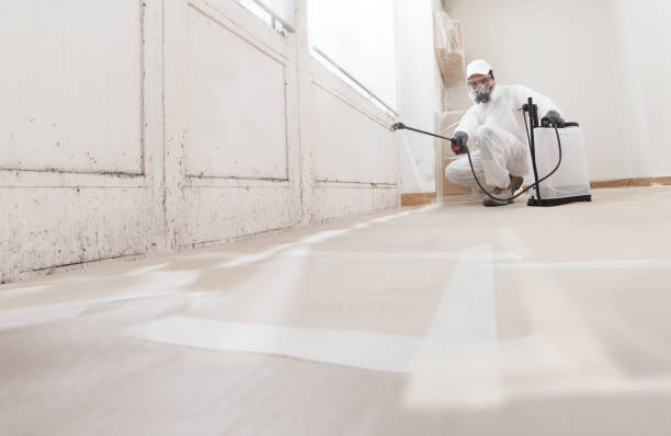 24/7 Emergency Basement Mold Remediation experts in Brookeville, MD