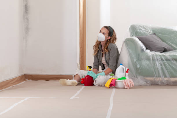 Reliable Basement Mold Remediation contractor in Brookeville, MD by WQB Mold Removal